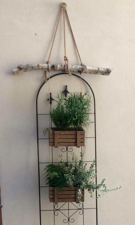 San Pierino Charming Rooms ลุคคา ภายนอก รูปภาพ